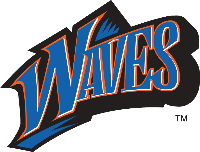 Pepperdine Waves 1998-2003 Wordmark Logo diy fabric transfer